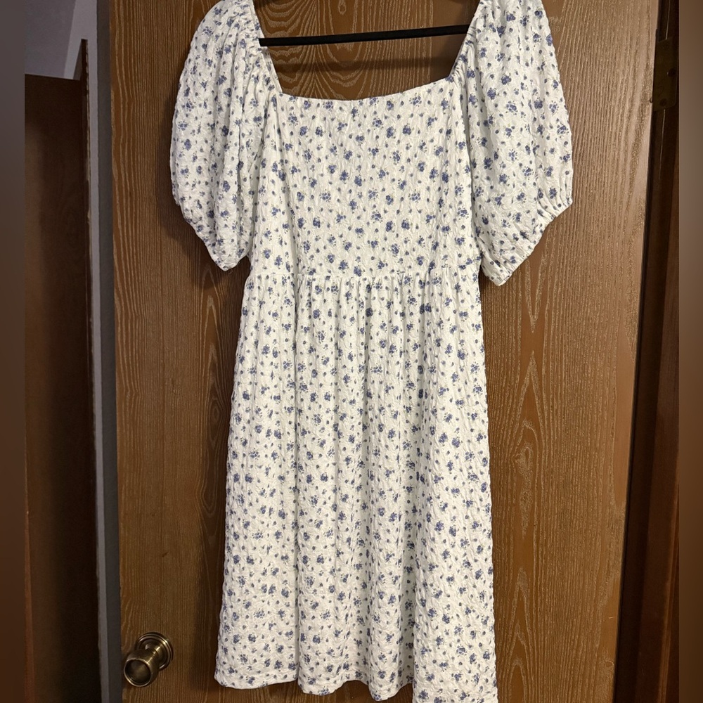 Arula Blue and White Floral dress